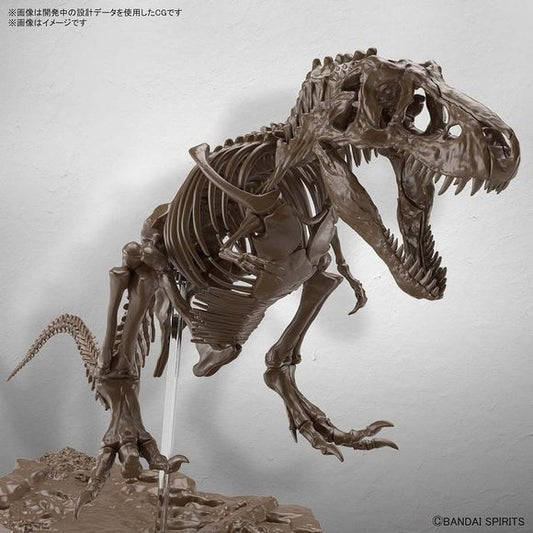 Bandai Spirits Imaginary Skeleton Tyrannosaurus T-Rex 1/32 Scale Educational Model Kit