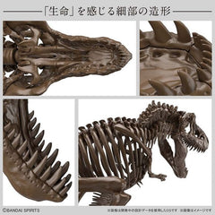 Bandai Spirits Imaginary Skeleton Tyrannosaurus T-Rex 1/32 Scale Educational Model Kit