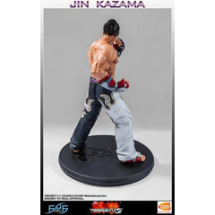 First 4 Figures TEKKEN 5 Jin Kazama 19" Regular Edition Resin Figure