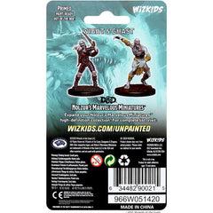 Dungeons & Dragons: Nolzur's Marvelous Unpainted Miniatures - W11 Wight & Ghast