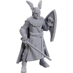 Experience two generations of Dungeons & Dragons in one package! This Limited Edition D&D 50th Anniversary pack features popular characters and monsters, alongside their counterparts from D&D’s early days. Dungeons & Dragons Nolzur’s Marvelous Miniatures come with highly-detailed figures, primed and ready to paint out of the box. These fantastic miniatures include deep cuts for easier painting. Clear and Black bases sold separately. This is a 2-count miniature pack