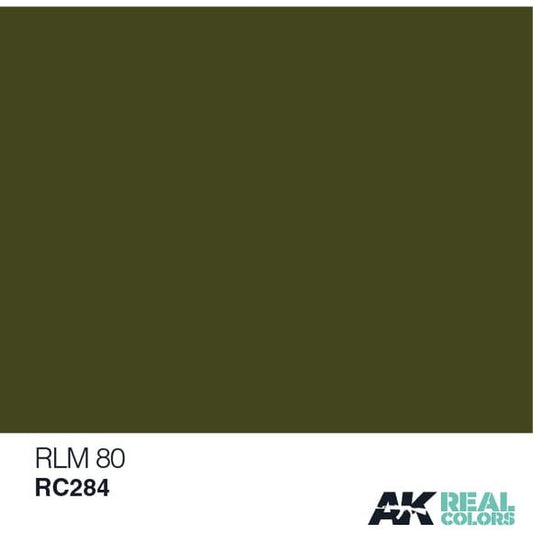 AK Interactive Real Color RLM 80 10ML Acrylic Hobby Paint Bottle | Galactic Toys & Collectibles